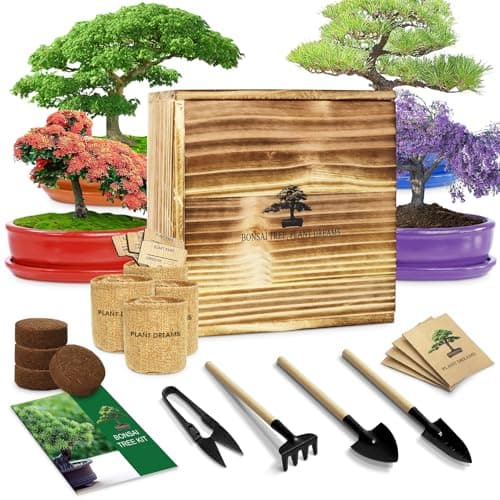 Bonsai Tree Starter Kit for Beginners - Indoor Live Plant Gardening Adult Craft DIY Kits - Unique Christmas, Birthday, White Elephant Gifts for Women, Men & Kids