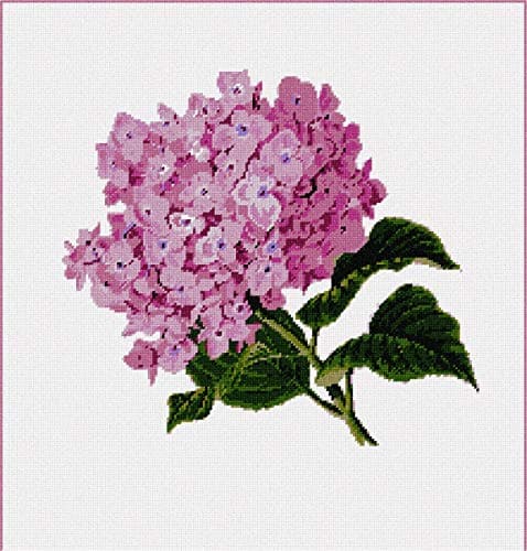 Pepita Needlepoint kit: Hydrangea Pair, 10" x 10"